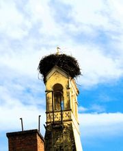 Lippold Stiftung Bild 7