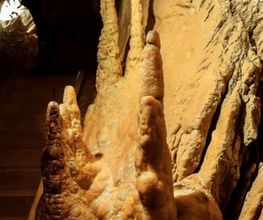 Grottes de Vallorbe SA Bild 6