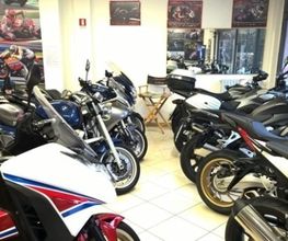 Gallery Cliente