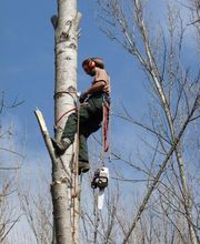 Lopez Dominique le Grimpereau image 10