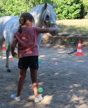 Espace d'équithérapie et d'équicoaching image 10