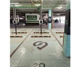 Wenea imagen 4