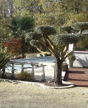 Lesueur Karl image 9