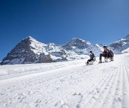 Jungfrau Ski Region - Kleine Scheidegg - Männlichen - Wengen Bild 1
