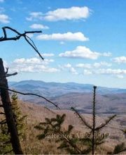 All Access Real Estate image 10