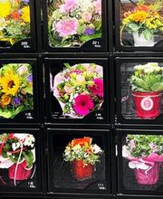 Blumenberg - Floristik - Gärten - Landschaften Bild 1