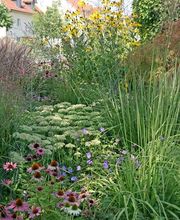 Dubach Gartenbau und -pflege GmbH Bild 3