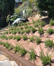 Almeida Giardini Bild 4