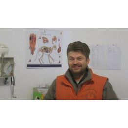 Tierarztpraxis Kolberg