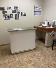 Mission Road Animal Clinic image 1