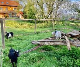Feriendorf Schwarzholz Bild 7