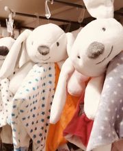 OKAIDI ANGERS GRAND MAINE image 11