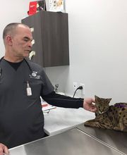 Westwood Regional Veterinary Hospital image 6