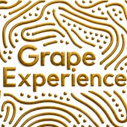 GRAPE EXPERIENCE