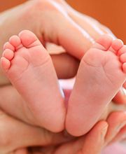 Picard Nicolas image 6