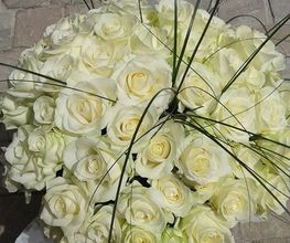 Passiflore image 12
