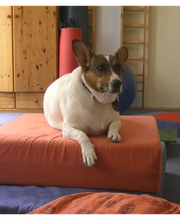 Ergotherapie Kley Viola Bild 6