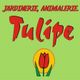 Jardinerie Tulipe