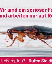 ATOX Schädlingsbekämpfungsfachbetrieb Bild 4