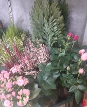 Fleurs Village image 15