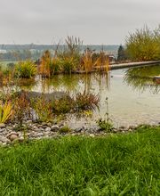Engesser Gärten AG Bild 1