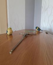 Pompes Funèbres Cévénoles image 4