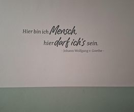 20250729_182512.jpg