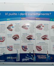 Gallery Professionale