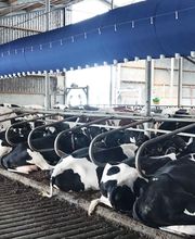 Dr. Knopf & Oswald GmbH Bild 1