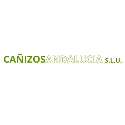 cañizos-logo.png
