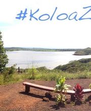 Koloa Zipline image 12