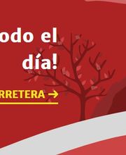 vickyngnordicportada.JPG