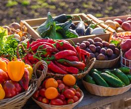 OBST UND GEMÜSE
Wir bekommen jeden Tag frische Lieferungen, darunter auch viele Erzeugnisse von regionalen Partnern und zusätzlich saisonale Waren – je nach Jahreszeit. Darunter finden Sie ebenfalls eine Auswahl an Bio-Produkten und solche von Demeter. Entdecken Sie auch unsere exotischen Früchte und die große Auswahl an Kräutern für jede Gelegenheit. Schalenfrüchte führen wir selbstverständlich auch!