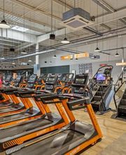 Basic-Fit 24/7 image 5