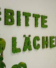 Zahnrath // Dr. Westerich Aesthetics