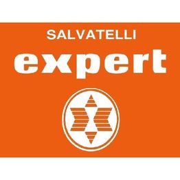 Expert Salvatelli logo