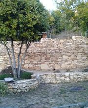 Richard Olivier image 7