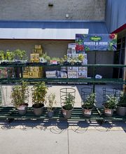 Garden Center Wide Shot