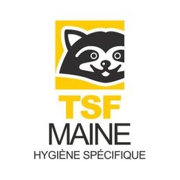 TSF Maine