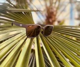 Optik Rausch Bild 1