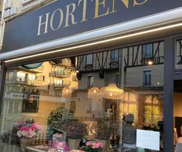HORTENSE image 1