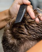 Friseur Bellissima Bild 5