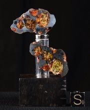 ECLECTIC-ART image 9
