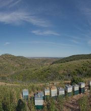 Anti'k Pyrénées image 3