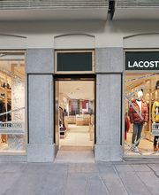 Overall View - Windows (Hero Image)