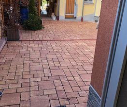 Gartenpflege und Gartengestaltung Bild 12