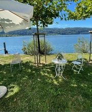 Blumengeschäft Löwenzahn Bild 6