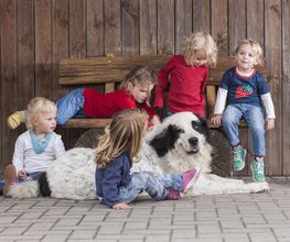 Kinderbauernhof Wigger Bild 22