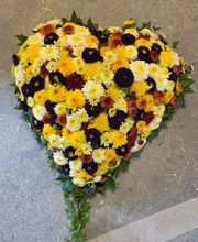 Blumen Petermann Bild 9