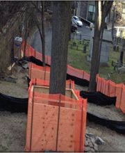 SavATree - Tree Service image 13